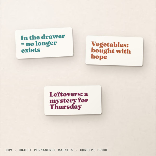 Original Object permanence magnets concept